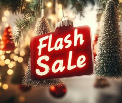 Flash Sale 2024